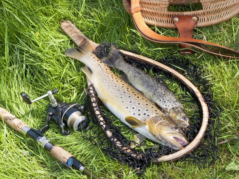 Fishing in River Parvati